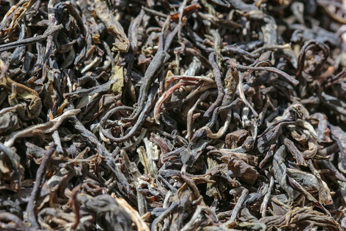 Loose Leaf Tea Allows for Faster Brewing