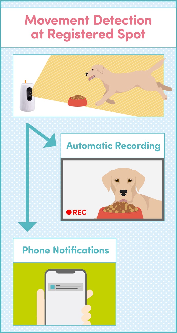 Notifications and Recordings Straight to Your Phone