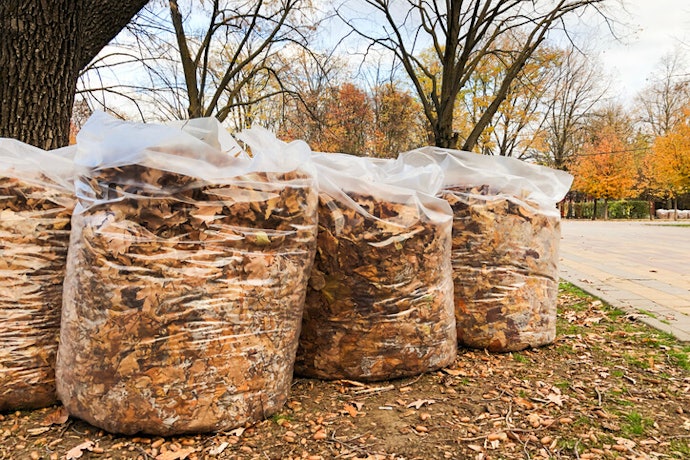 Biodegradable Bags Will Break Down but Won't Disappear