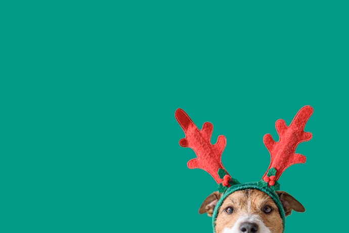 Let Your Dog Cosplay as a Different Animal