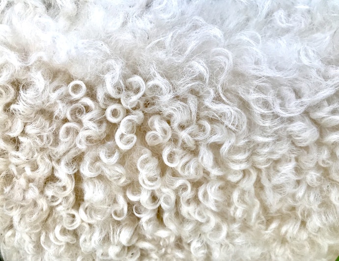 Stay Warm With Wool Leg Warmers