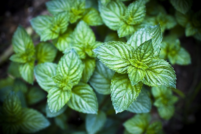 For Oily and Acne-Prone Skin, Ingredients That Won't Clog Pores are Key