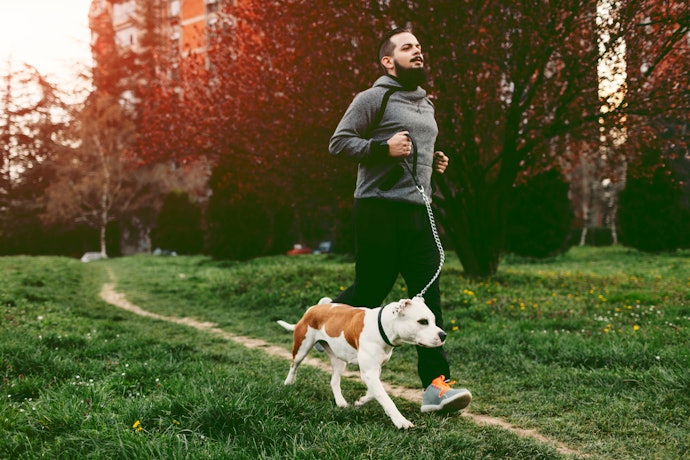 Handheld Leashes for More Control
