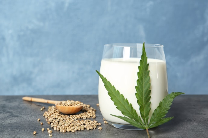 Hemp Milk Is a Good Source of Omega-3 and Omega-6 for Savories