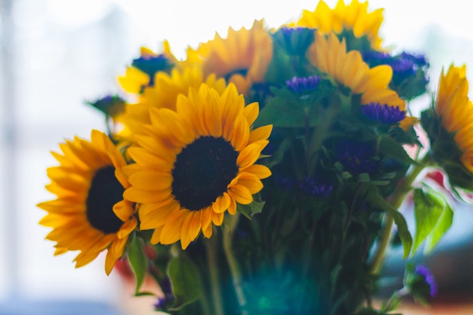 Yellow Flowers for Friendship