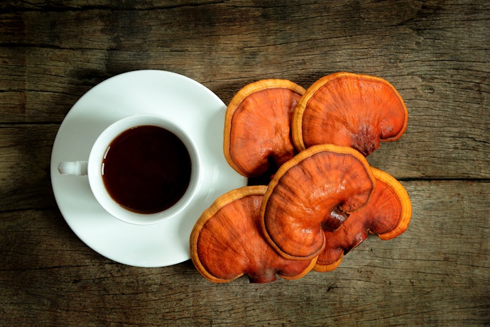 Fancier Mushrooms for More Advanced Growers