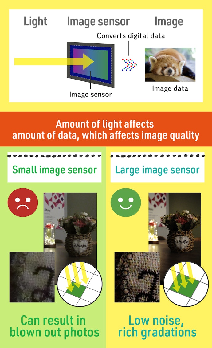 Image Sensors Are Vital Devices That Convert Light to Data
