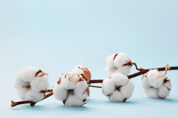 Egyptian Cotton: Soft and Durable If It’s Real