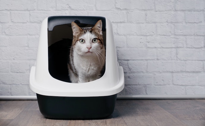 Covered Boxes Control Odor and Offer Privacy