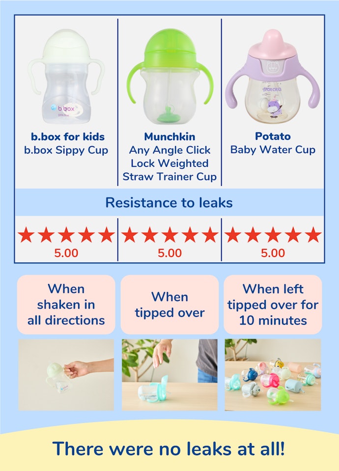 Sippy Cups with Spout & Weighted Straw – Hahaland