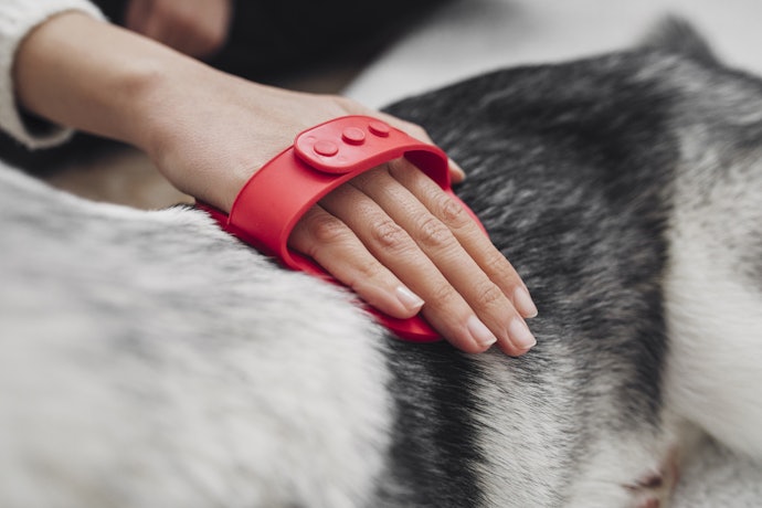 A Rubber Brush Relaxes a Dog With a Massage