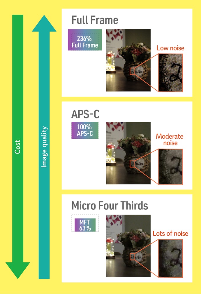 Large Sensors Produce High Image Quality but Cost More