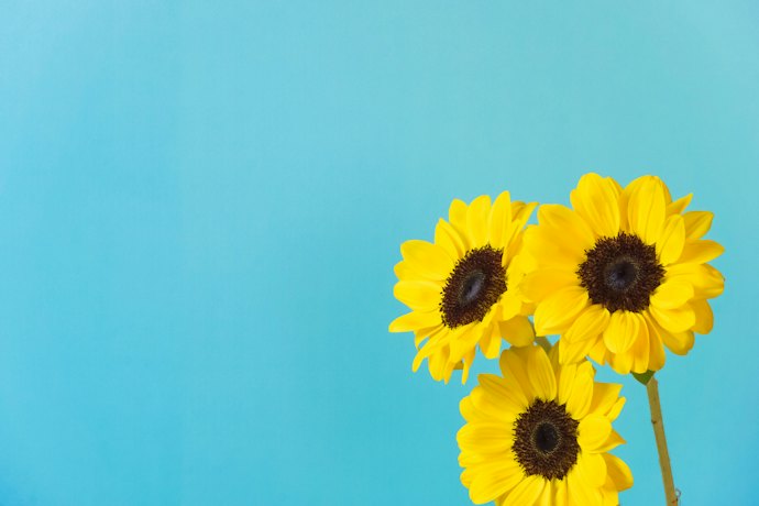 Try Bold and Bright Colors for a Positive Effect on Cognitive Function