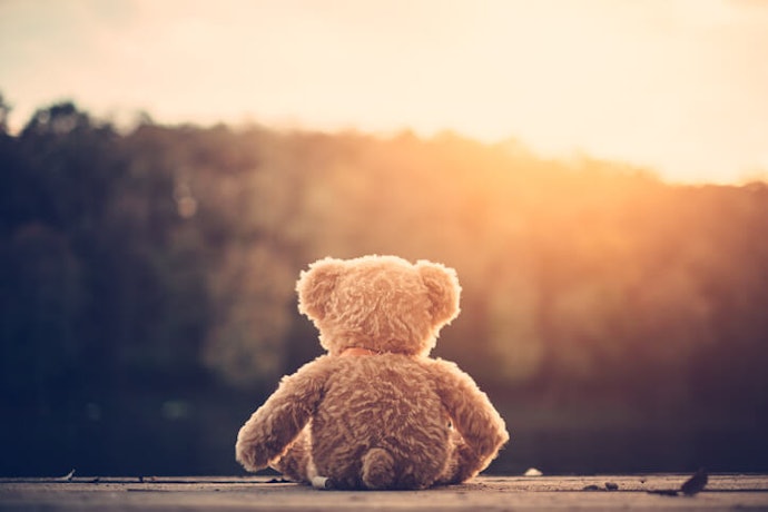 Pellets are Firm and Help Your Teddy Bear Sit-up Straight