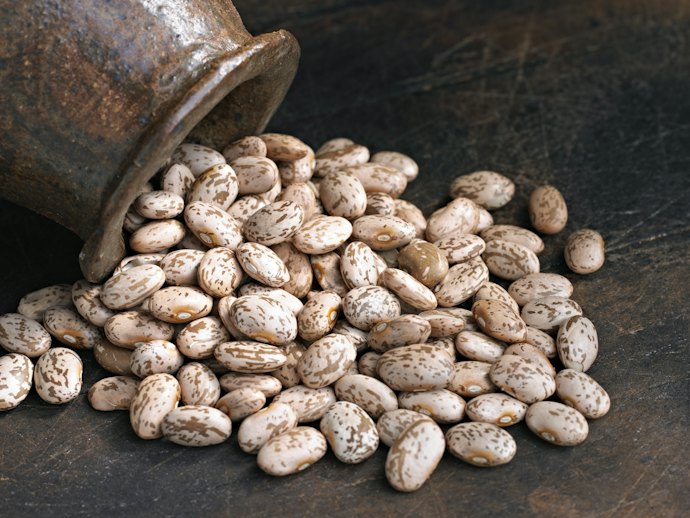 Pinto Beans Make the Best Refried Beans
