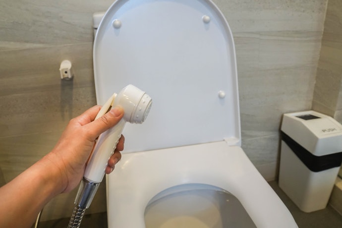 Handheld Bidet Gives Flexibility
