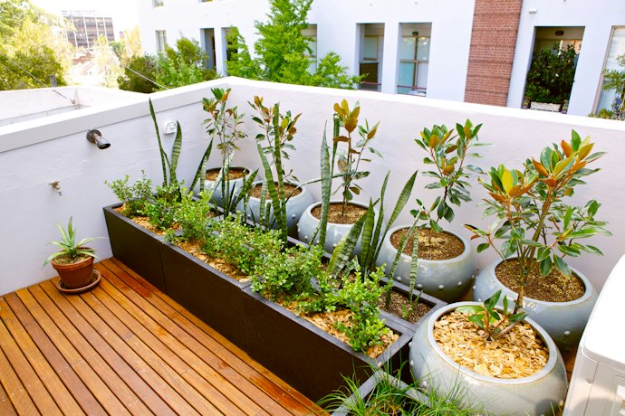 Flower Pots and Planters Need Floor Space