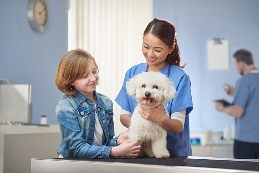 Medicated Shampoo Should Only be Used on Veterinary Advice