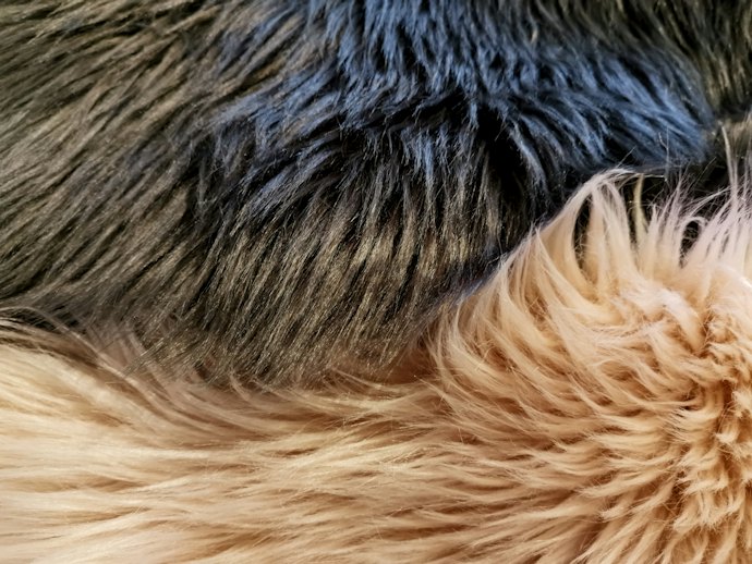 Decide Between Acrylic or Polyester Faux Furs