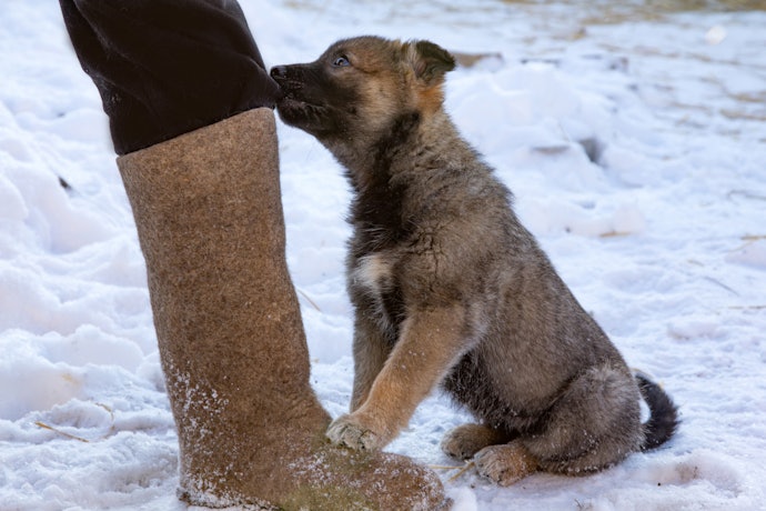Snow Boots are Extra Warm and Often Come With Anti-Slip Soles