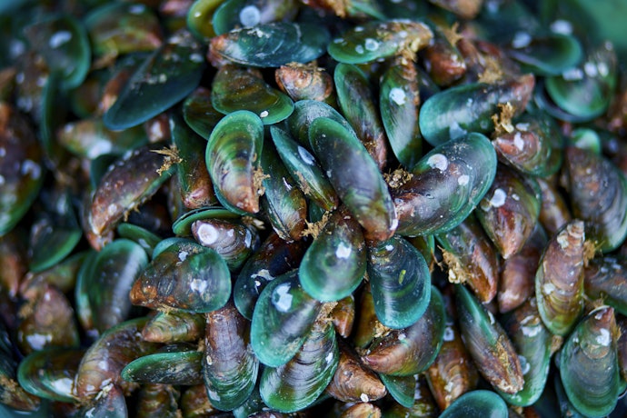 Green-Lipped Mussel Oil: Contains Rare Omega-3s