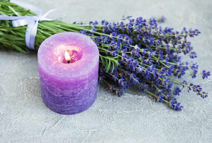 Avoid Essential Oils for Pets