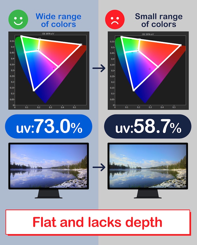 A Wide Color Gamut Can Show Subtle Differences in Color