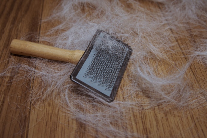 Long Coats Need Everyday Brushing
