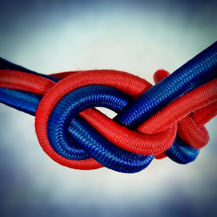 Bungee Cords and Springs for Bounce
