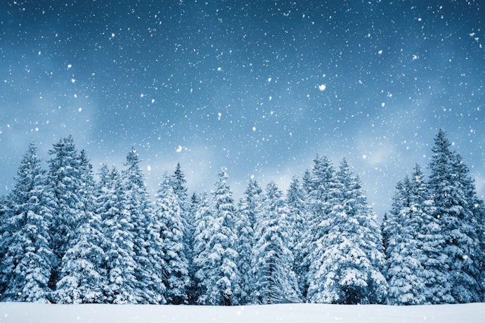 Woody Scents are Crisp and Cozy