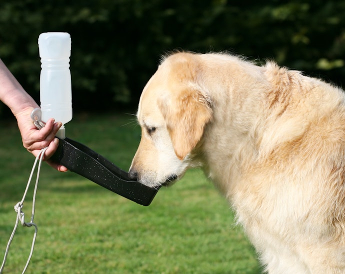 Plastic is Lightweight and Easy to Carry Around