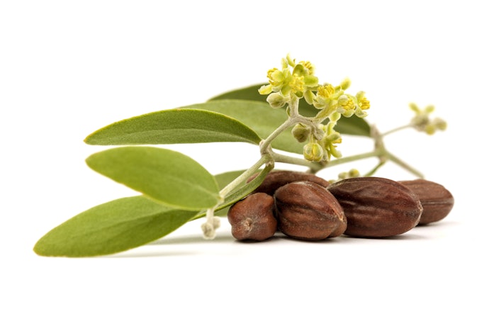 Oils Help Eczema and Psoriasis