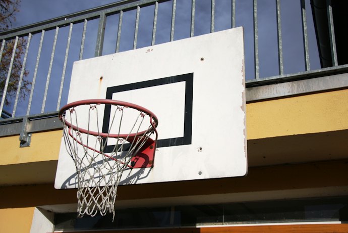 Wall-Mounted Hoops are Sturdy and Take Up Minimal Space