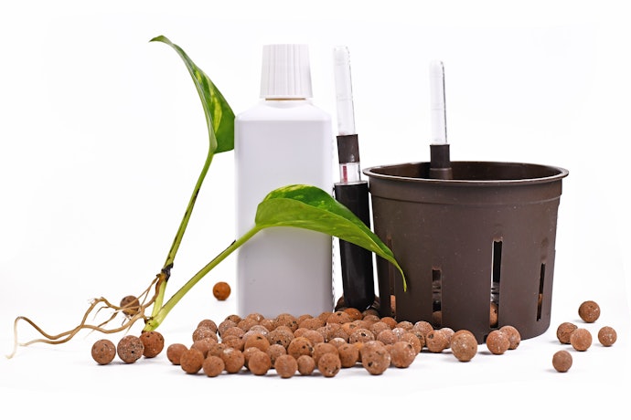 Deep Water Culture Systems Suit Plants That Love to be in Water