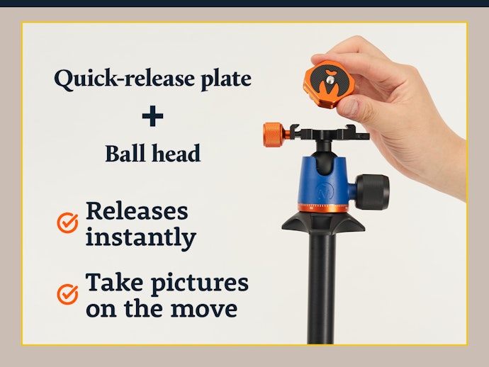 Check if the Ball Head Has a Quick-Release Plate