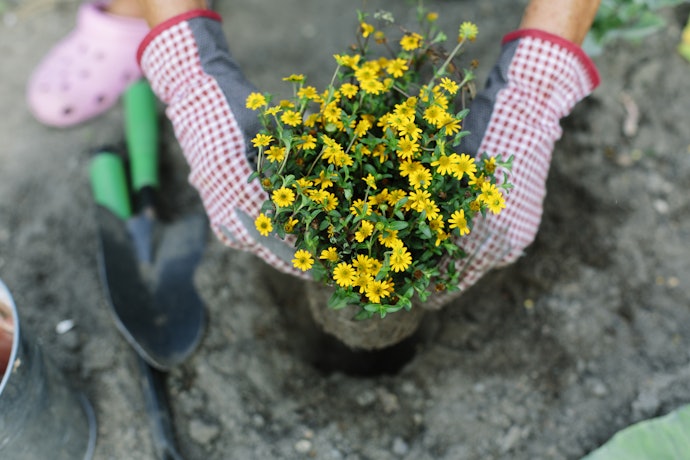 Lightweight Gloves for Planting, Weeding, and Harvesting