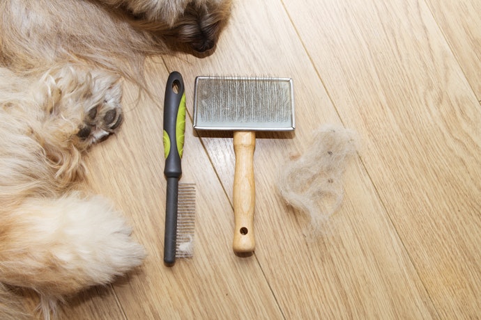 Double Coats Benefit from Frequent Grooming