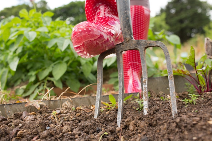 Border Forks are Easier to Use