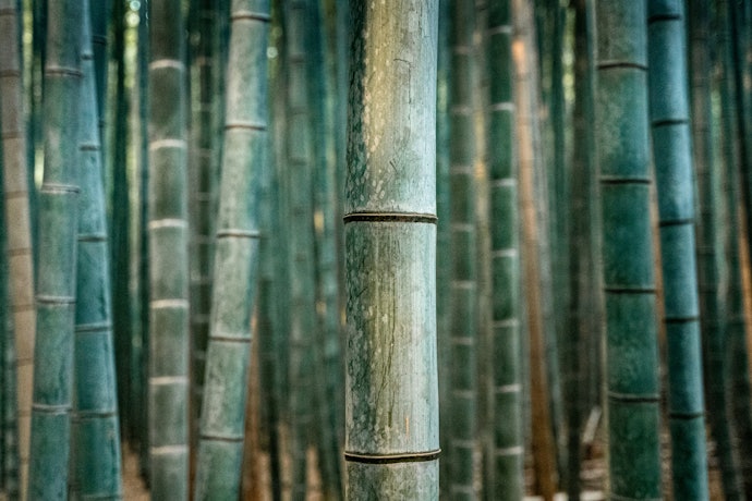 Bamboo is Natural and Vegan