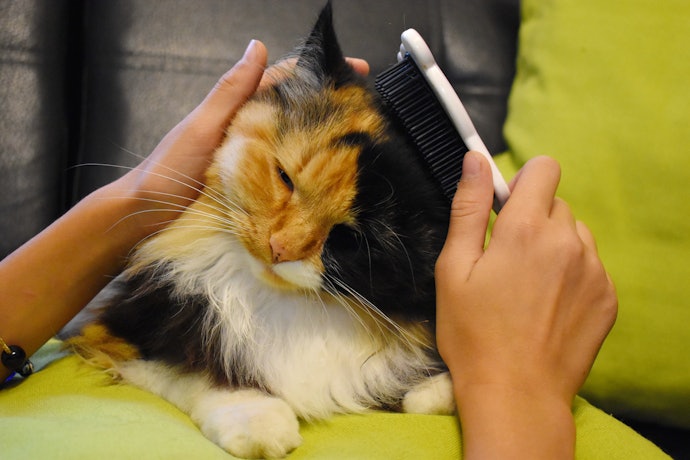 Rubber is a Gentle Hair Collector