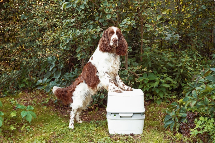 Camping Toilets are a Top-Notch Option