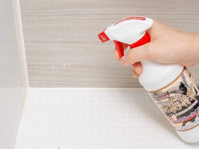 To Get Rid of Mold, Use a Chlorine-Based Cleanser