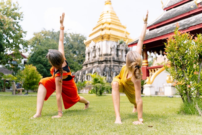 Iyengar Yoga to Learn or Review the Basics and Your Alignment