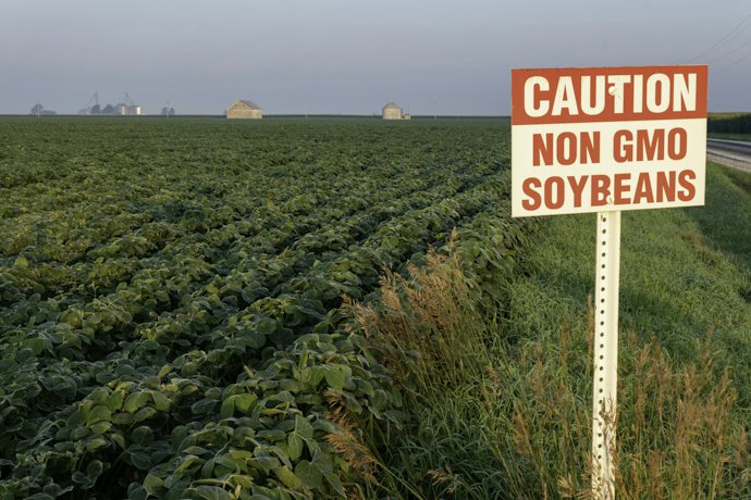 A Non-GMO Label May be Used for Plant Ingredients