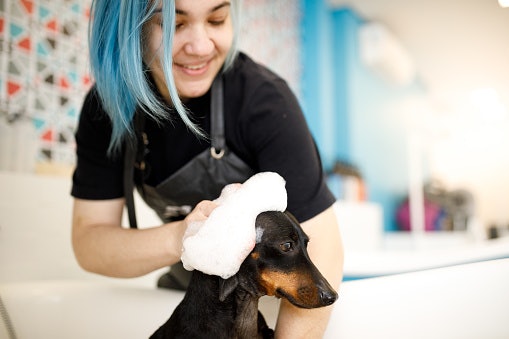 Go for a Natural Shampoo if Your Dog's Skin is Itchy