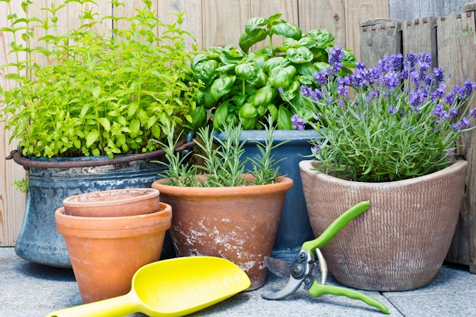 Make Sure Your Balcony is Strong Enough for Heavy Planters