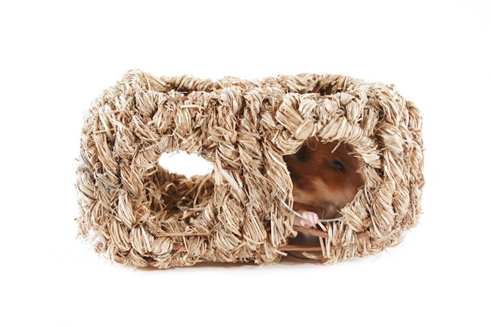 Hamster Hideouts Made from Hemp, Grass, or Other Natural Fibers