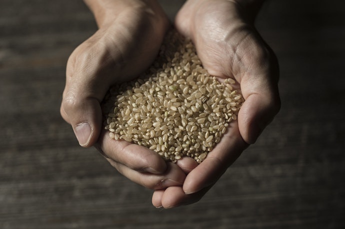 Rice Protein is Hypoallergenic but Low in Lysine
