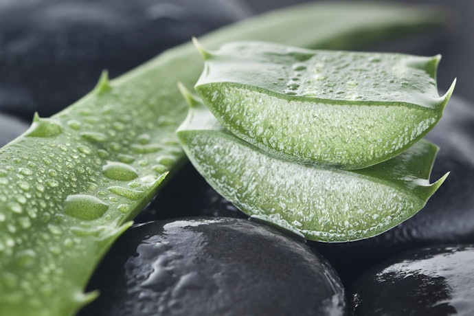 Non-Comedogenic Ingredients for Oily Skin