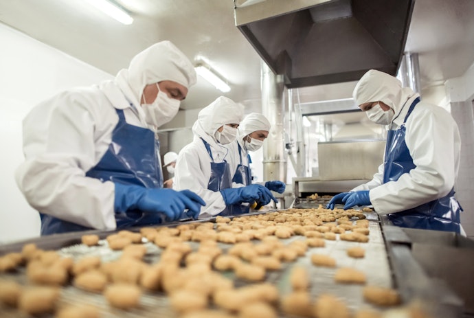 Discover How Unsafe Practices in Food Factories Impact Humans